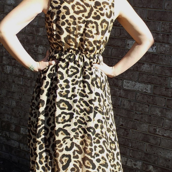 Leopard Print High Low Dress - Picture 3 of 3